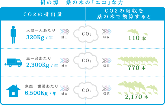 絹の源　桑の木の「エコ」な力　1、人間一人あたり年間320キログラムの二酸化炭素を排出→桑の木が二酸化炭素を吸収するのに必要な本数110本。2、車一台あたり年間2300キログラムの二酸化炭素を排出→桑の木が二酸化炭素を吸収するのに必要な本数770本。3、家庭一世帯あたり年間6500キログラムの二酸化炭素を排出→桑の木が二酸化炭素を吸収するのに必要な本数2170本。