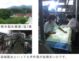 礁氷製糸農業（協）様と工場内写真。機械製糸といっても手作業が結構多いのです。