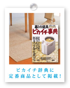 ピカイチ辞典に定番商品として掲載！