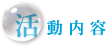 活動内容